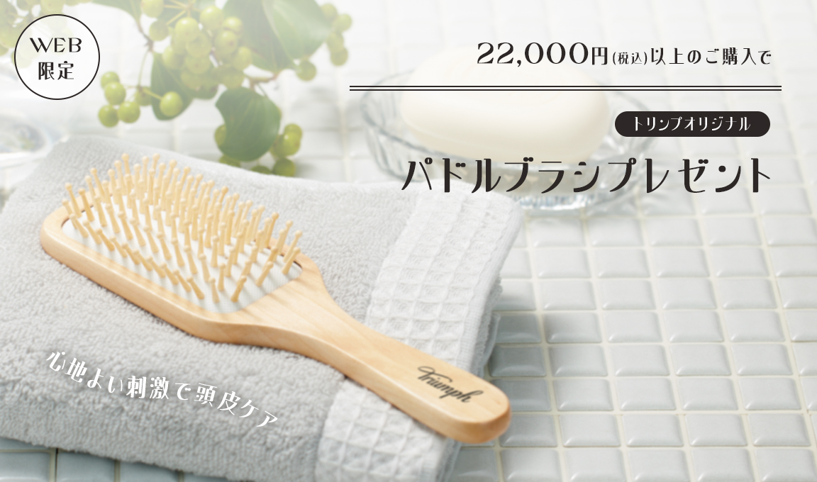 WEB限定！対象シリーズの商品を16,500円（税込）以上ご購入でトリンプオリジナルパドルブラシプレゼント